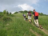 Salita da Fonteno al Monte Boario nel giorno della "Cavalcata tra Monti e Laghi" di Maurizio Agazzi il 6 giugno 2010